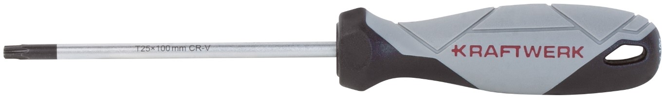TOURNEVIS TX - T25, BASIC