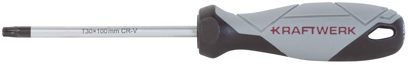 TOURNEVIS TX - T30, BASIC